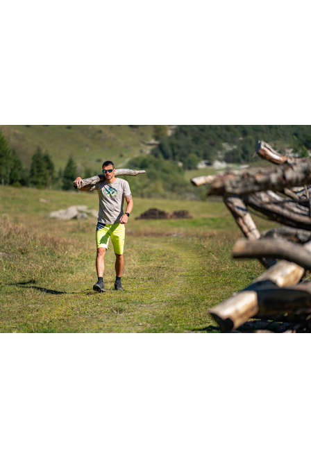 Fotogalerie Men's Climbing Shorts CAMPUS SHORTS lime/anhtŕacite