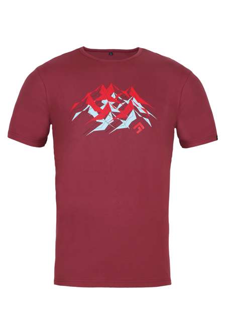 Fotogalerie Men's cotton FLASH T-shirt palisander (Mountains)