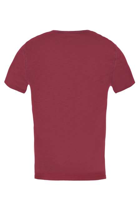 Fotogalerie Men's cotton FLASH T-shirt palisander (Mountains)